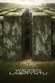 Więzień labiryntu - Sprawdź dostępność filmu na Vider